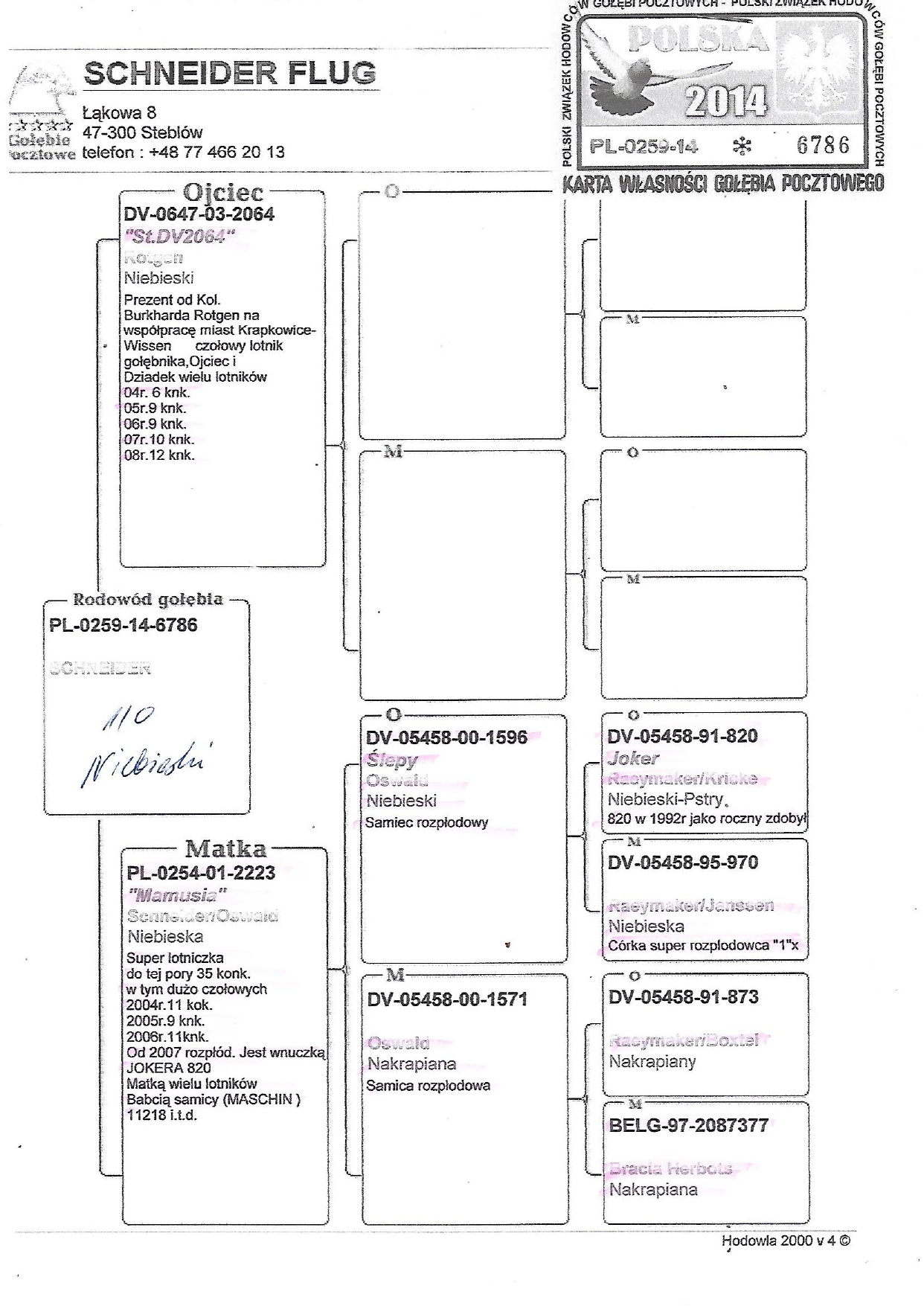 Charytatywnie Dla Kajetana Andrzej FIGNA Profesjonalny Portal