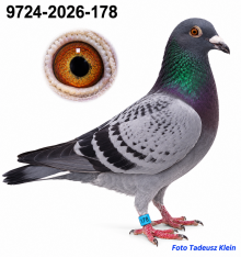 09724-2026-178