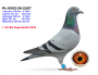 1 AS WG - PL-0502-26-2267- GREG