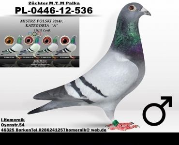 1 młodego po wnuku 1360 Tadeusz Palka