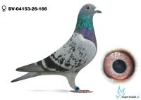 10 AS - DV-04153-26-166- Hartmut Will