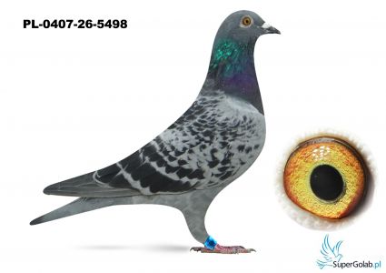  2 AS WG - PL-0407-26-5498 - Janek Team