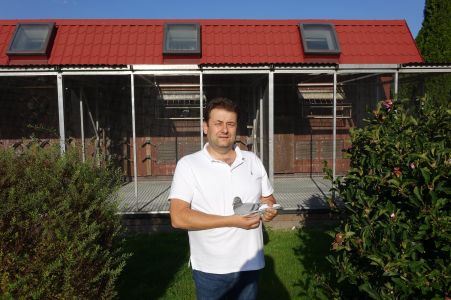 20 szt gołębi młodych po gołębiach rozpłodowy