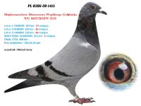3. PL-0306-1415 - WG MISTRZÓW 5 GOŁĄB Z MAŁEGO FINAŁU i 9 AS WG
