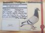 8  AS - PL-0185-26-4001 - Damian Wolszczak