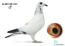 A-301-25-131 W schimmel Frieda