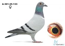 A-301-25-133 W blau Police Girl