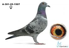 A-301-25-1507 MARCHART FRANZ