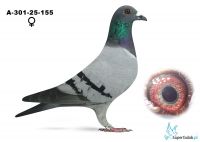 A-301-25-155 V blau Jack Burger