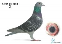 A-301-25-1552 