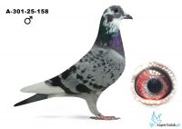 A-301-25-158