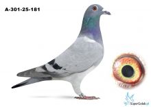 A-301-25-181 V blau Sister Nationaal I