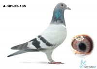 A-301-25-195