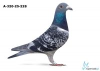 A-320-25-228
