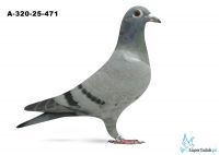 A-320-25-471