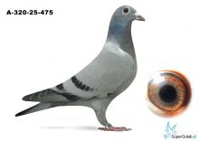 A-320-25-475