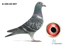 A-320-25-507