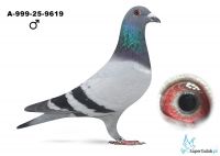 A-999-25-9619