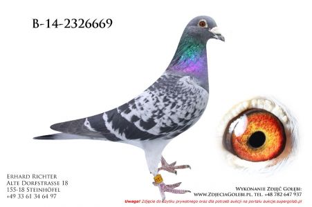 B-14-2326669
