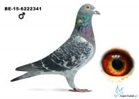 B-15-6222341 Lemmens Urlich