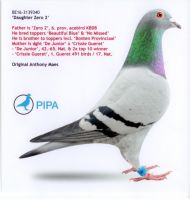 B-16-31393340