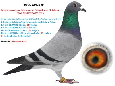 B-19-5081240 - SAMICZKA lotowana na WG MISTRZÓW oryg Albert Hendrix