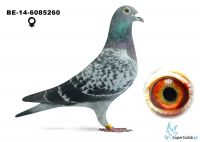 BE-14-6085260 Roziers P&J