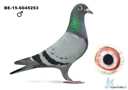 BE-15-6045253