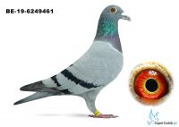 BE-19-6249461