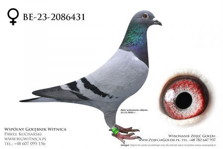 BE-23-2086431: MWG Mazury, 67. Lotnik, m in 20m