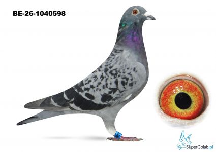 BE-26-1040598