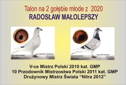 Bon  2 Gołębie Młode 