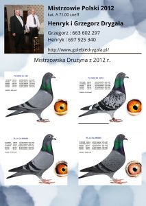 BON NA 10 GOŁĘBI MŁODYCH DO LOTU - TYLKO OPCJA KUP TERAZ