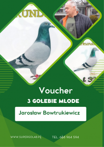 Bon na 3 gołebie młode rocznik 2026