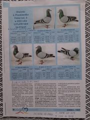 Cała hodowla do sprzedania