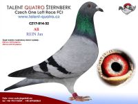 CZ-014-17-32 i CZ-014-18-210 cała para z rozpłodu od zawsze razem wydały już 1 i 2 golębia na oddział