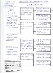 CZ-0141-25-210-CALIMERA  OLR Talent Quatro Šternberk 2025 - ojciec 46 z Finału matka stara linia Janssen 019
