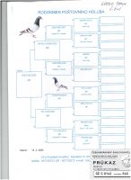 CZ-0142-25-540-LIBUS  OLR Talent Quatro Šternberk 2025 LINIA FIGO