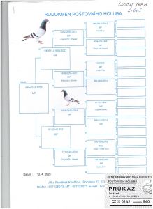 CZ-0142-25-540-LIBUS  OLR Talent Quatro Šternberk 2025 LINIA FIGO