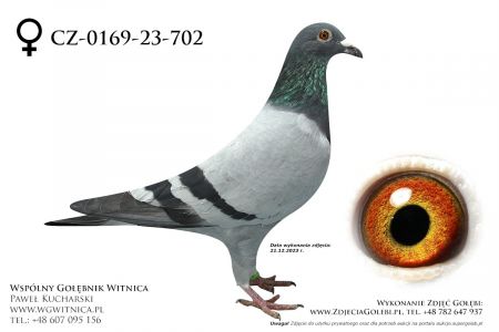 CZ-0169-23-702: Krolikowski Bartek