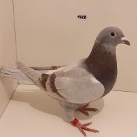 CZ-0235-22-1728 Mocny Inb.
