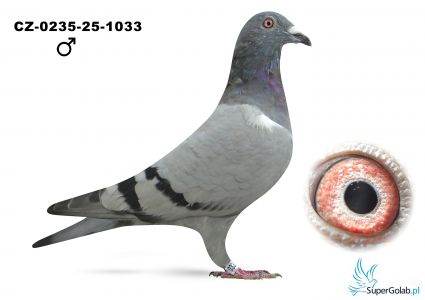 CZ--0235-25-1033 Polasek Miroslav