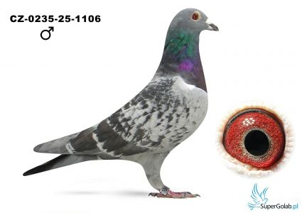 CZ-0235-25-1106 - 11 z półfinału -  Mariusz Rudalski