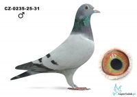 CZ-0235-25-31