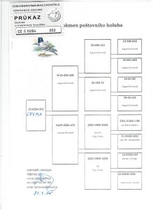 CZ-0284-25-302-LEVMA OLR Talent Quatro Šternberk 2025 czołowy Hodowca Czeski