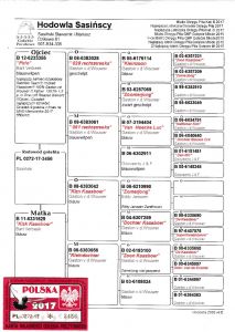 Dominik i Szymon Namyslowski - młody z 2021 r