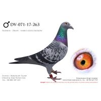 DV-0071-17-263,