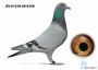 DV-01218-26-6348 - 100% Leideman 