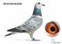 DV-01218-26-6350 Leideman x Bindacz x Dirk de Beer