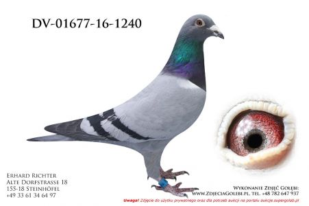 DV-01677-16-1240